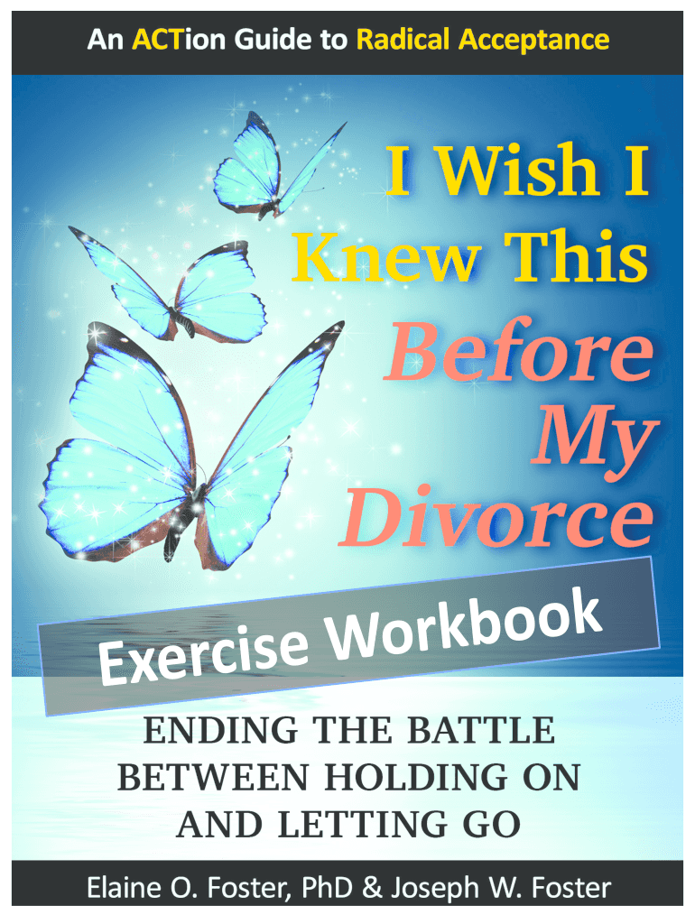 Divorce Workbook PDF  Form