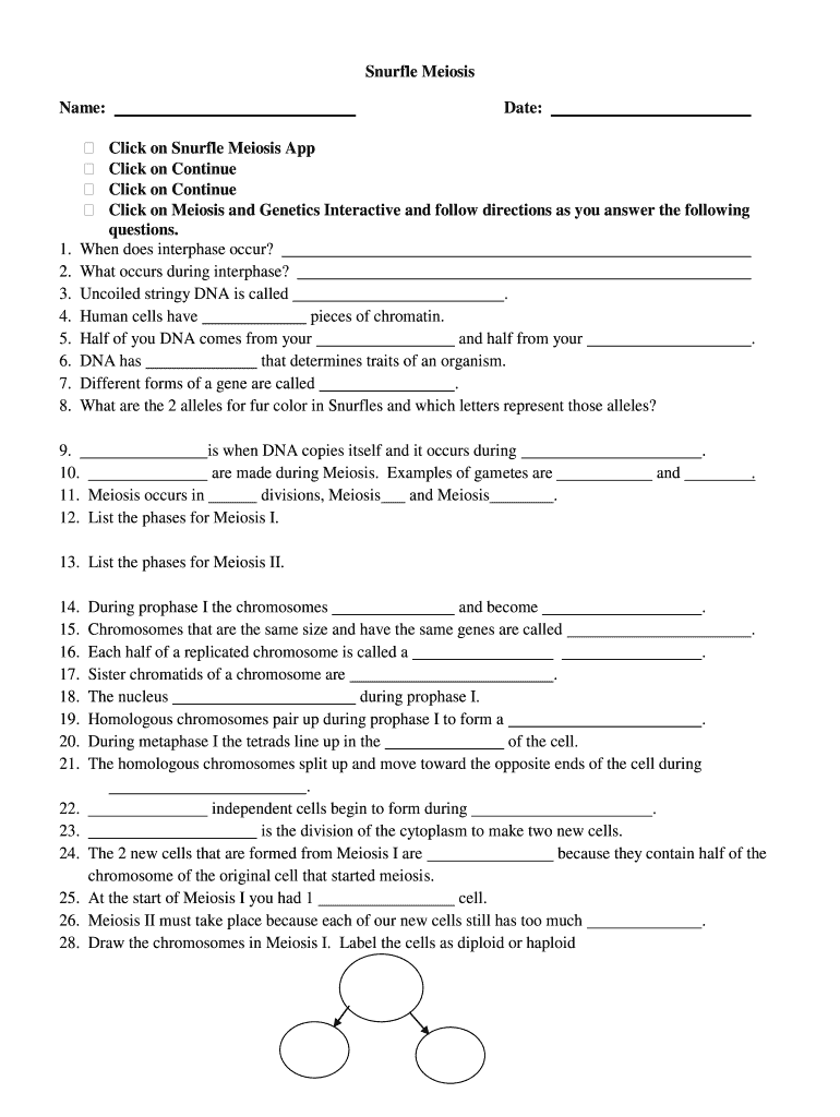 Snurfle Meiosis Worksheet Answer Key PDF  Form
