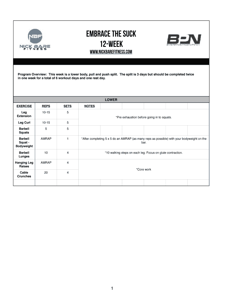 Nick Bare Hybrid Training Program PDF  Form