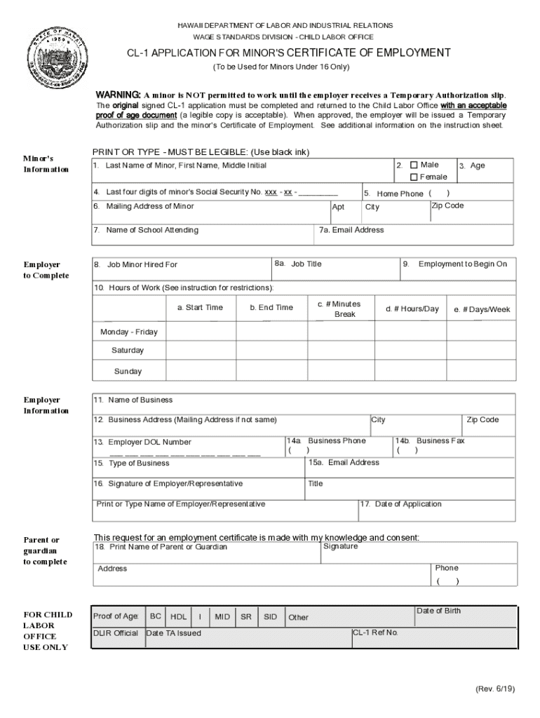 State of Hawaii Child Labor Law Hawaii Payroll Services, LLC  Form