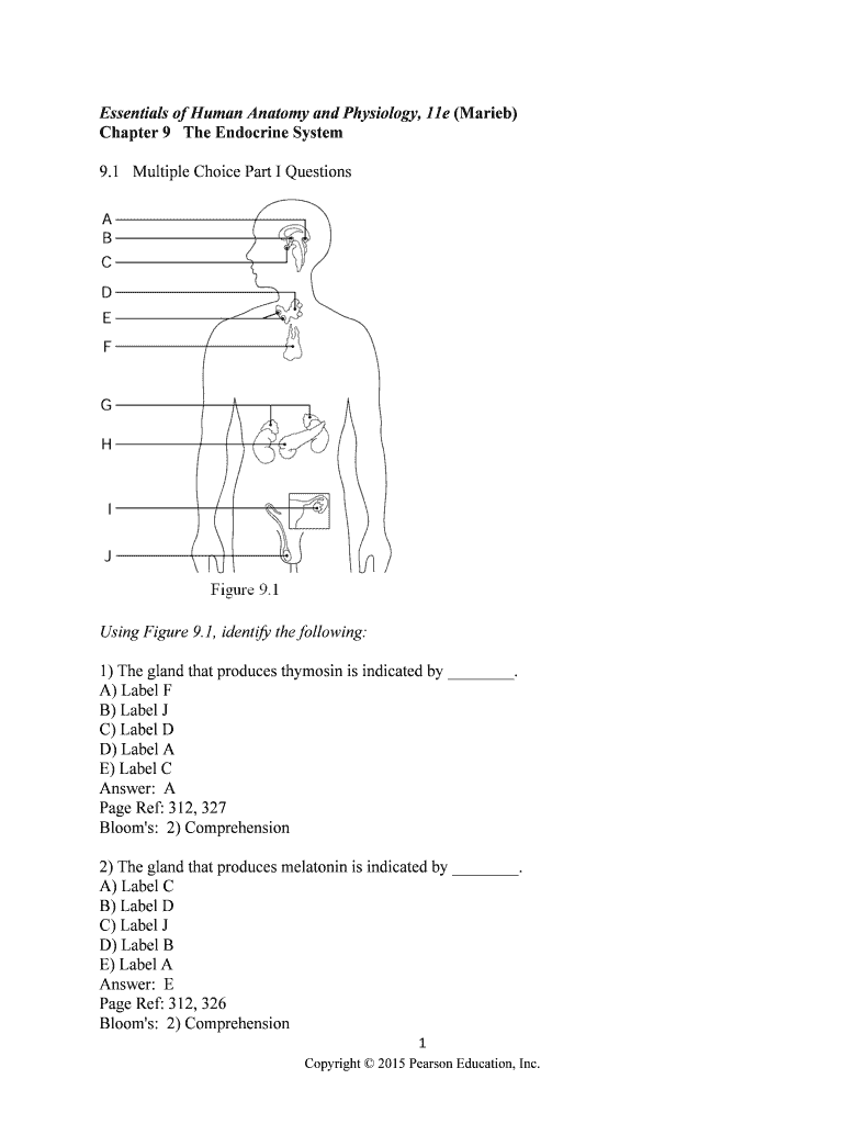 Chapter 9 the Endocrine System PDF  Form