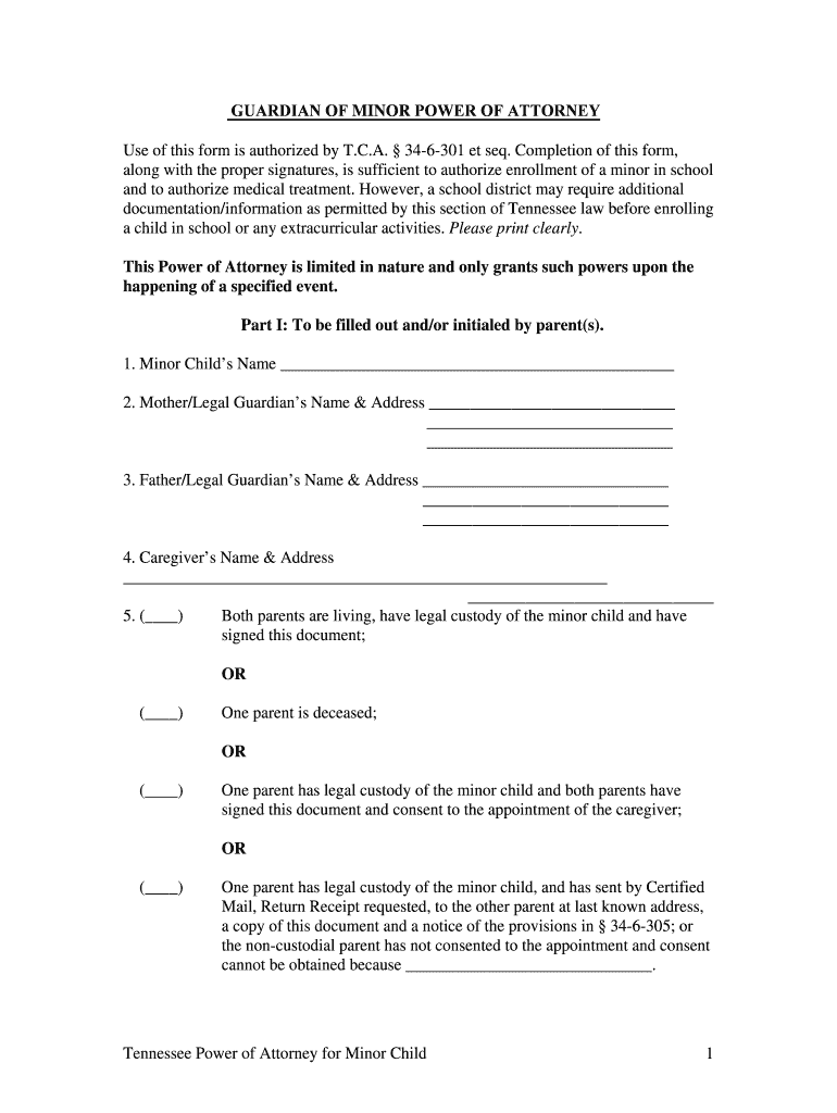 Get and Sign Form Power Attorney Minor Child