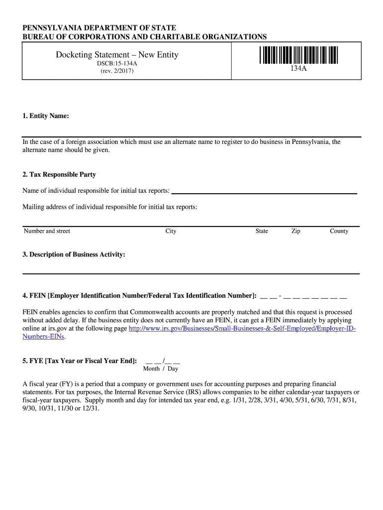 Form DSCB15 134A Docketing Statement New Entity