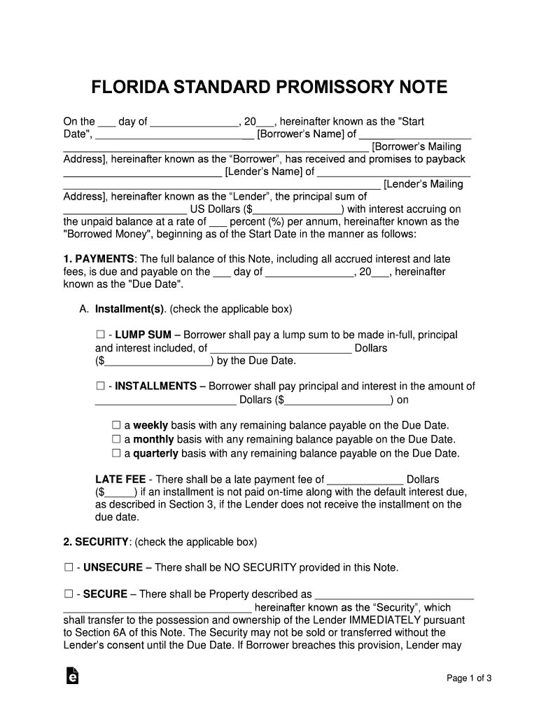 Florida Standard Promissory Note Template  Form