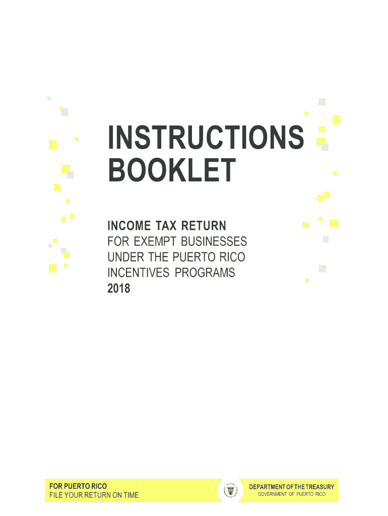  Income Tax Return for Exempt Businesses under the Puerto Rico 2018-2024
