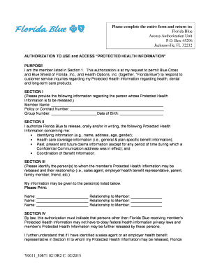  Florida Blue Prior Authorization Form PDF 2013