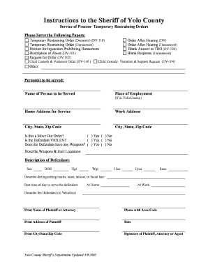 Yolo County Restraining Order  Form