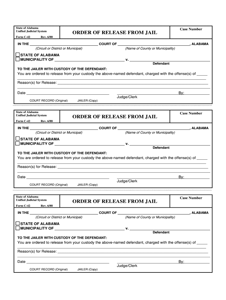 Circuit or District or Municipal  Form