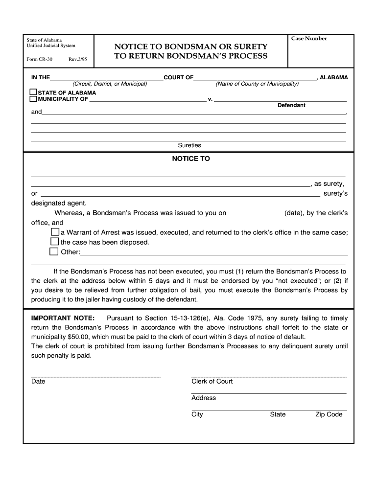 Application for Bondsman's Process Forms