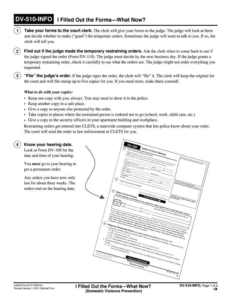 DV 510 INFO I Filled Out the FormsWhat Now? Domestic Violence Prevention Judicial Council Forms