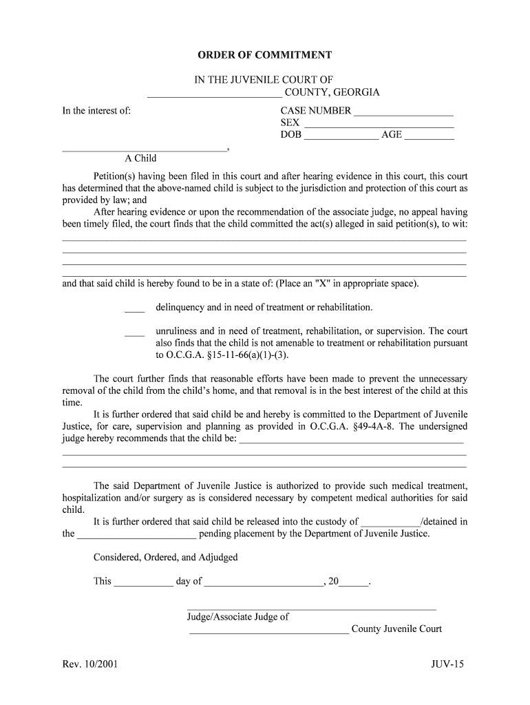 Order of Commitment Georgia Court Forms