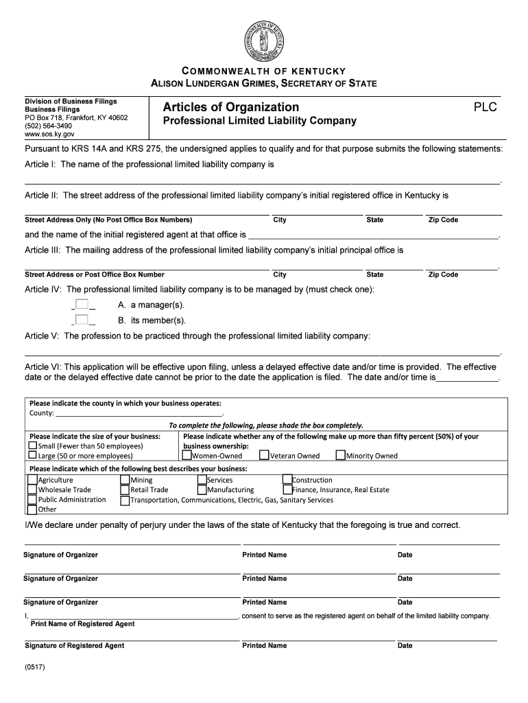 Articles of Incorporation Professional Service  Form