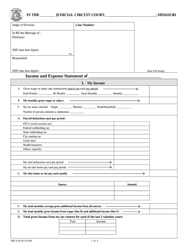 CV100 Income and Expense Statement of Dot  Form