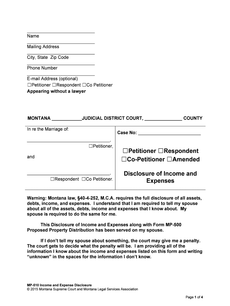 co-petitioner-amended-form-fill-out-and-sign-printable-pdf-template