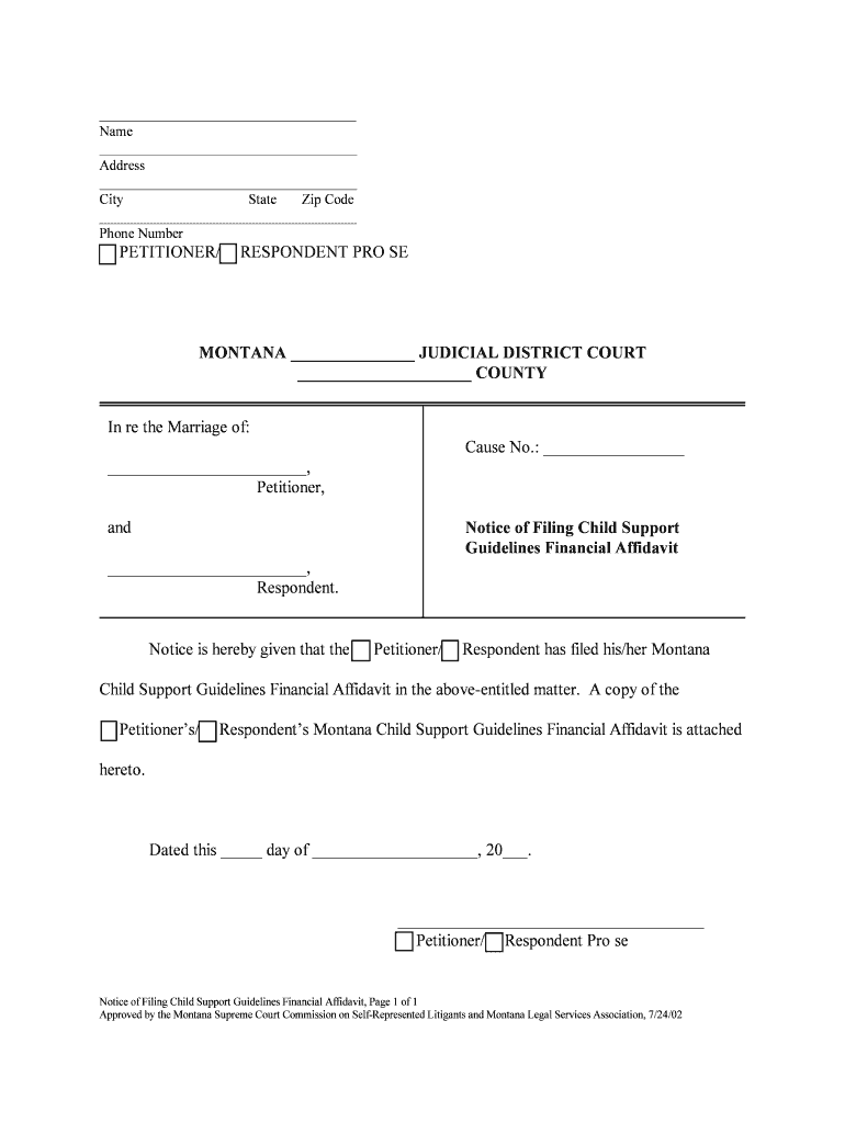 PETITIONER, PRO SE MONTANA JUDICIAL DISTRICT COURT  Form