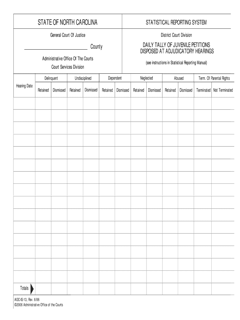 DAILY TALLY of JUVENILE PETITIONS  Form