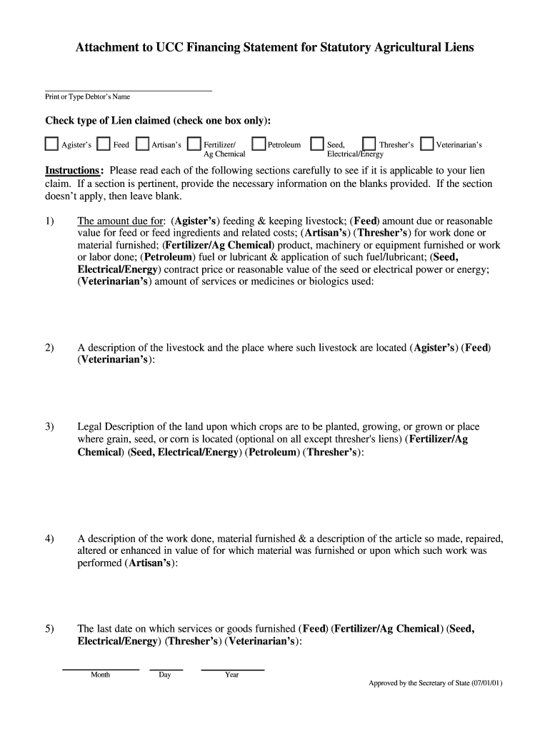 Filing Instructions Texas Secretary of State  Form