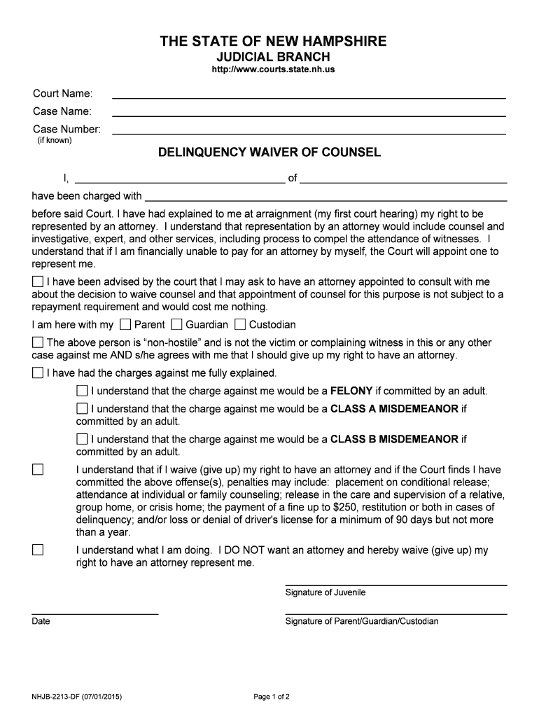 DELINQUENCY WAIVER of COUNSEL  Form