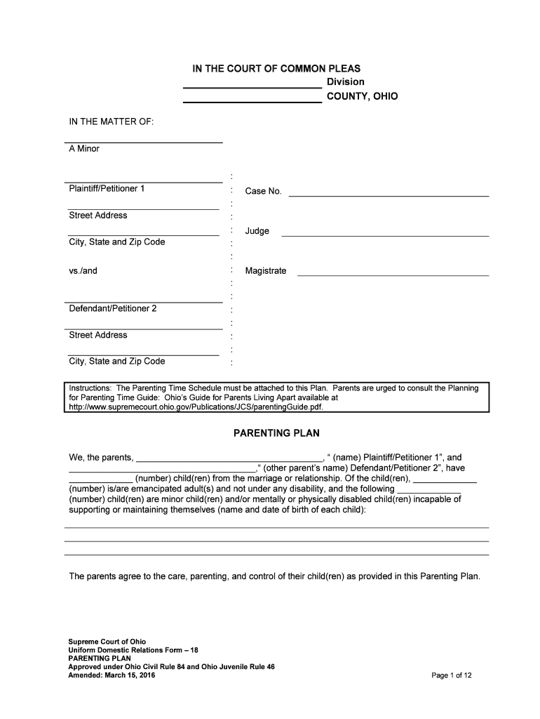 Parenting Plan Supreme Court of Ohio Ohio Gov  Form