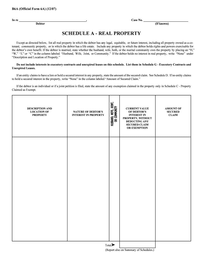 B6A Schedule a Real Property United States Courts  Form