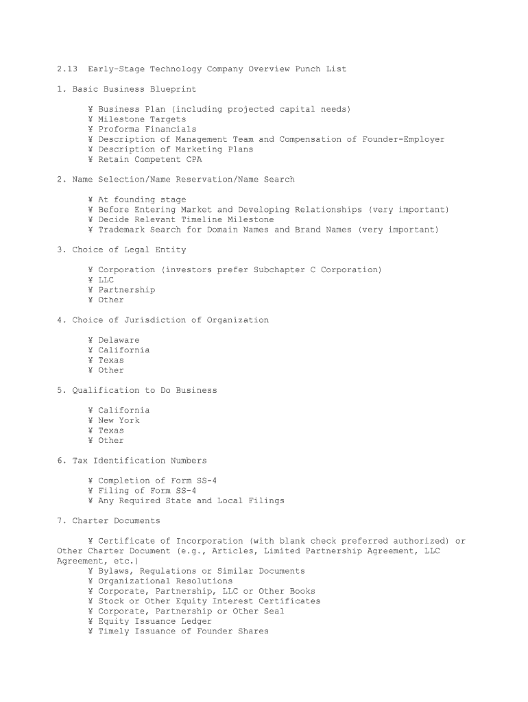 Early Stage Technology Company Overview Punch List  Form