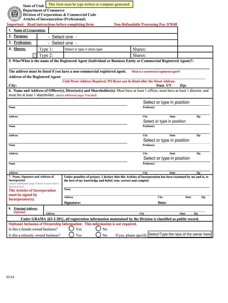 Articles of Incorporation Professional  Form