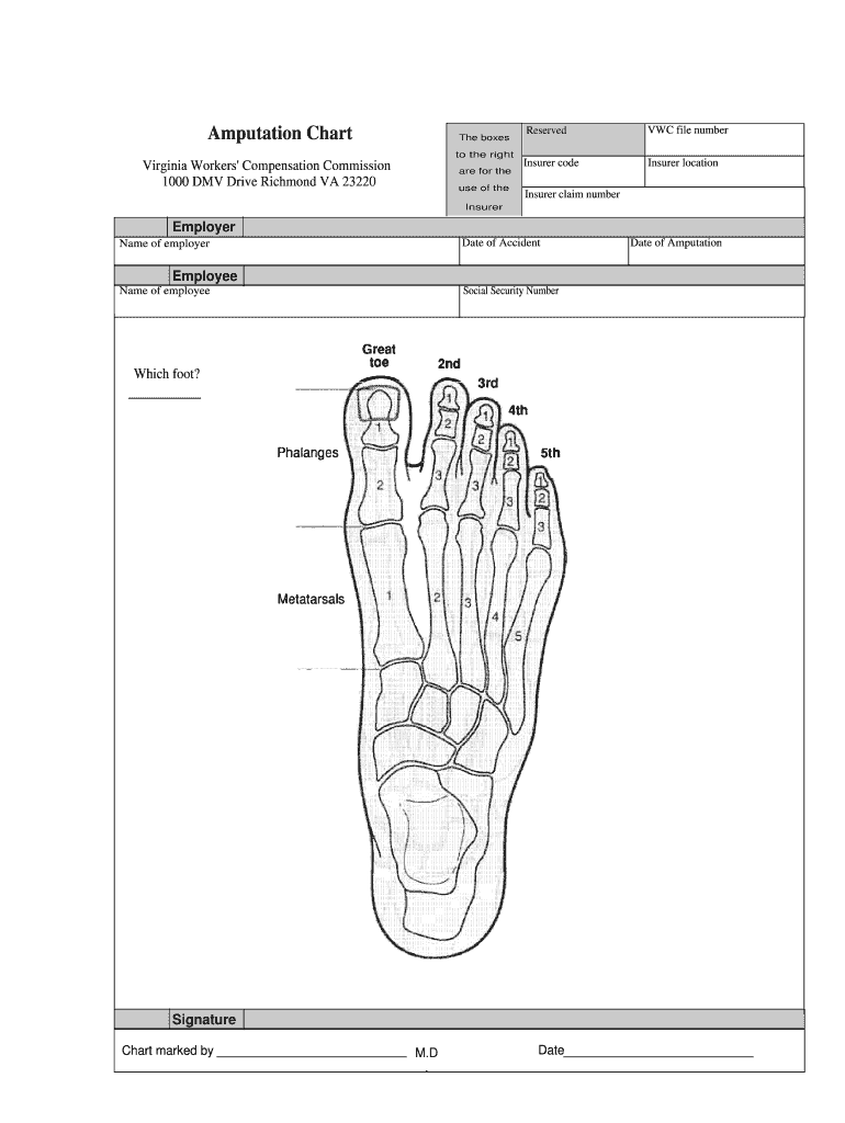 Amputation Chart  Form