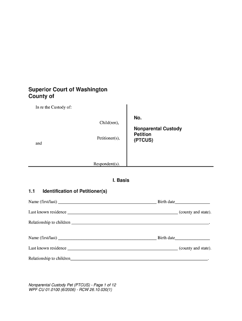 Nonparental Custody Petition  Form