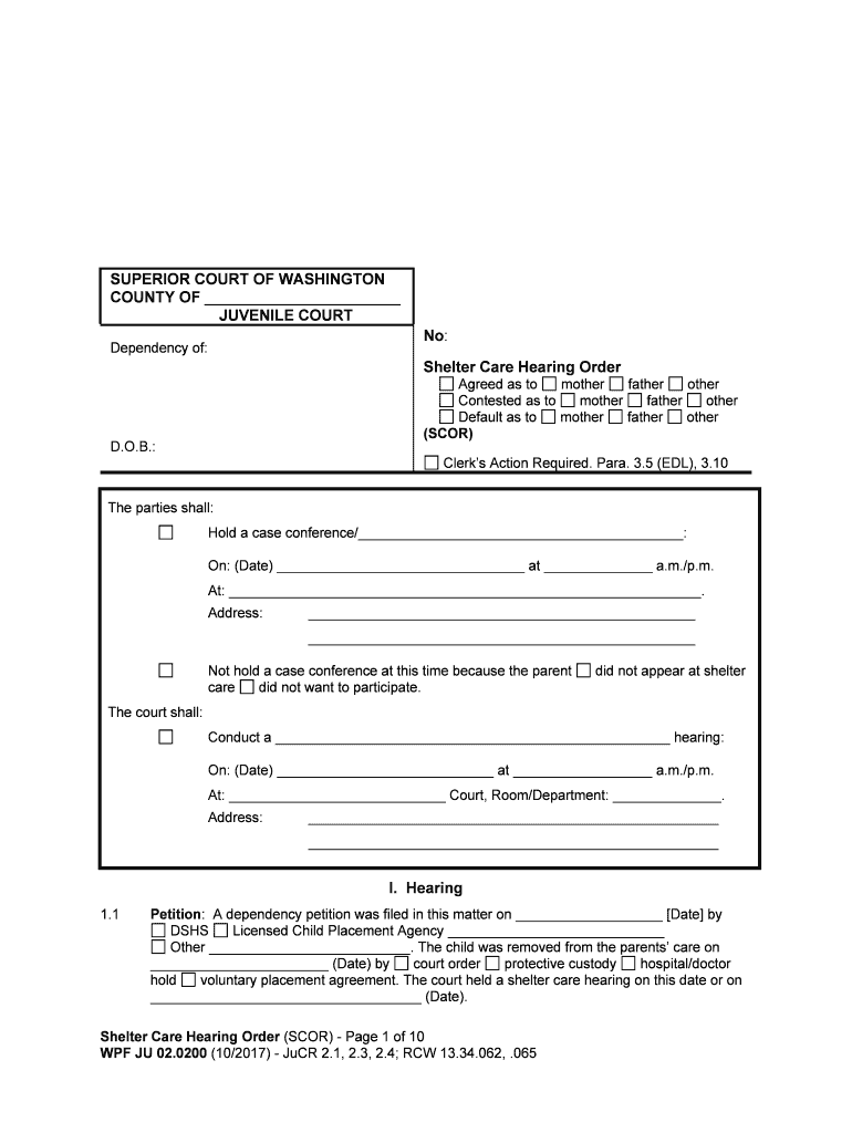 In Re Dependency of a M S , Dob 121708, Sergio Michel  Form