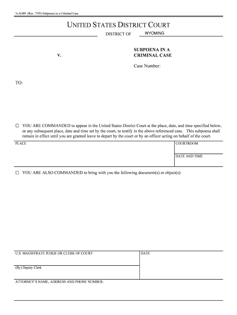 AO 89 Subpoena in a Criminal Case District Court of  Form