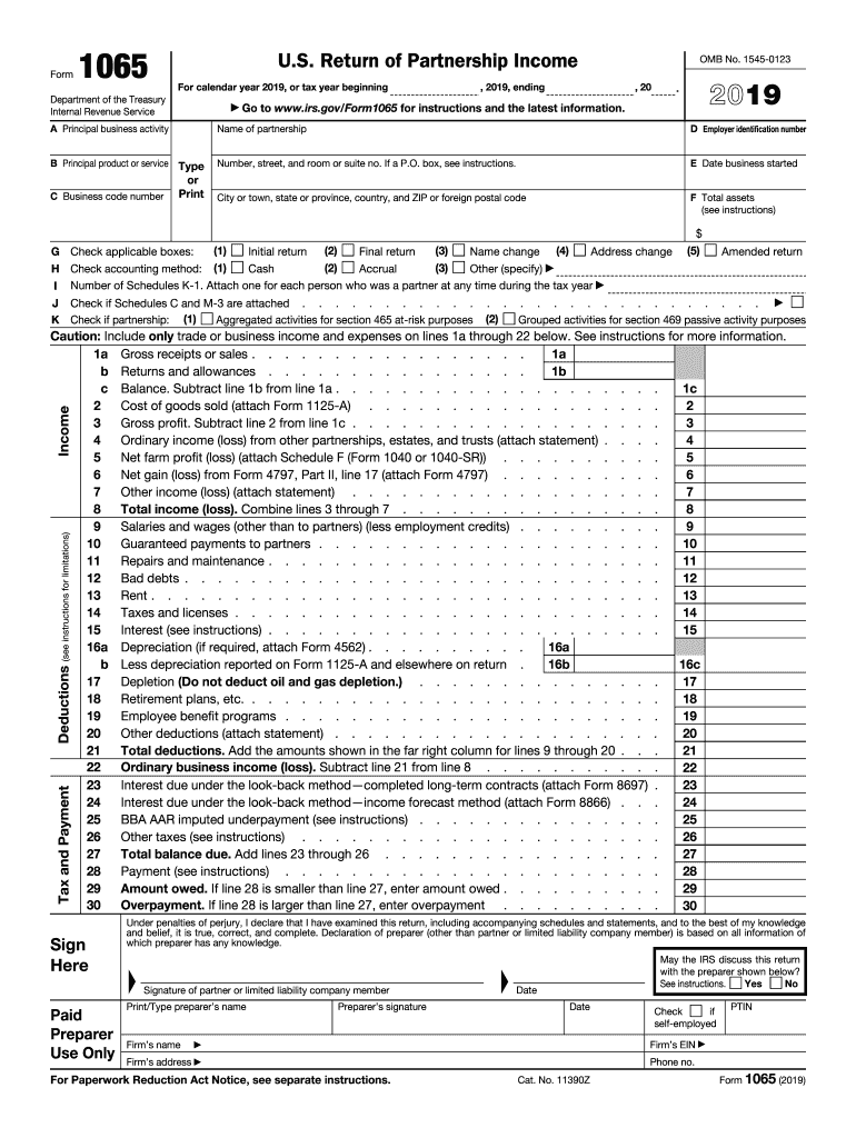 2019 1065 form