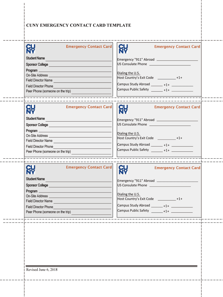 Application for the Certificate of Eligibility I 20 Brooklyn  Form