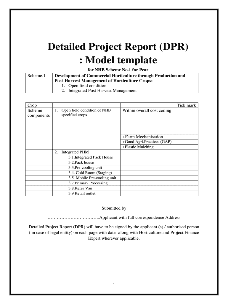 Detail Project Report Format