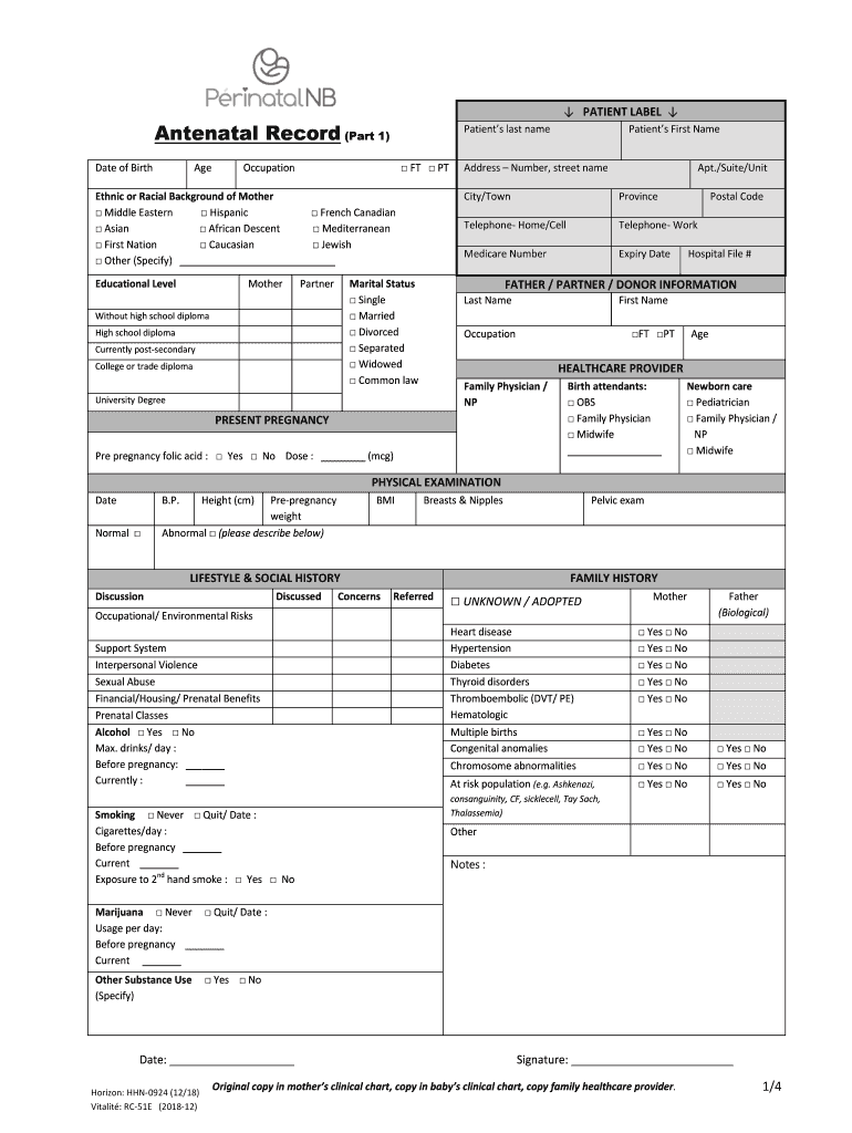 Antenatal Record PDF  Form