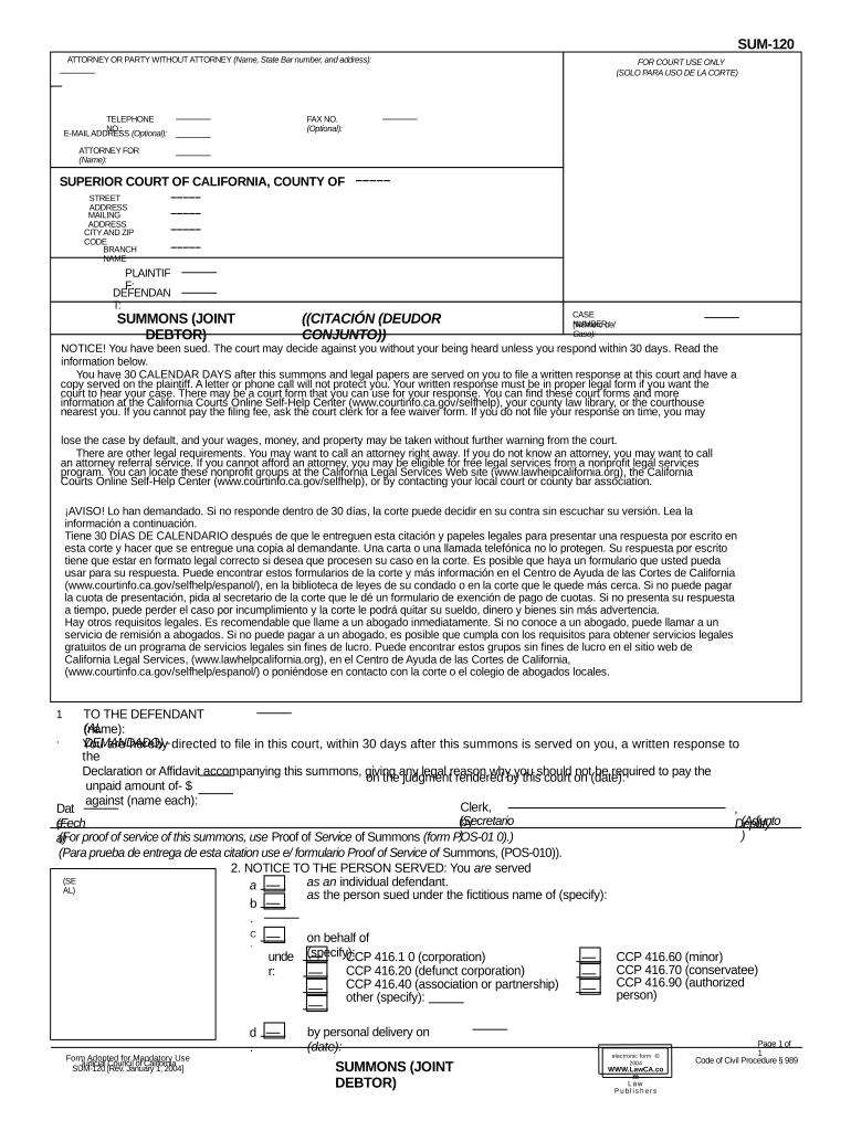 Ca Debtor  Form