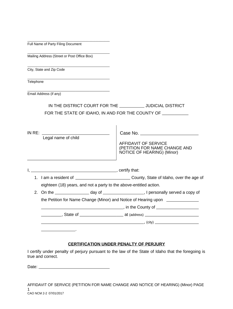 Affidavit of Service Minor, Family Idaho  Form