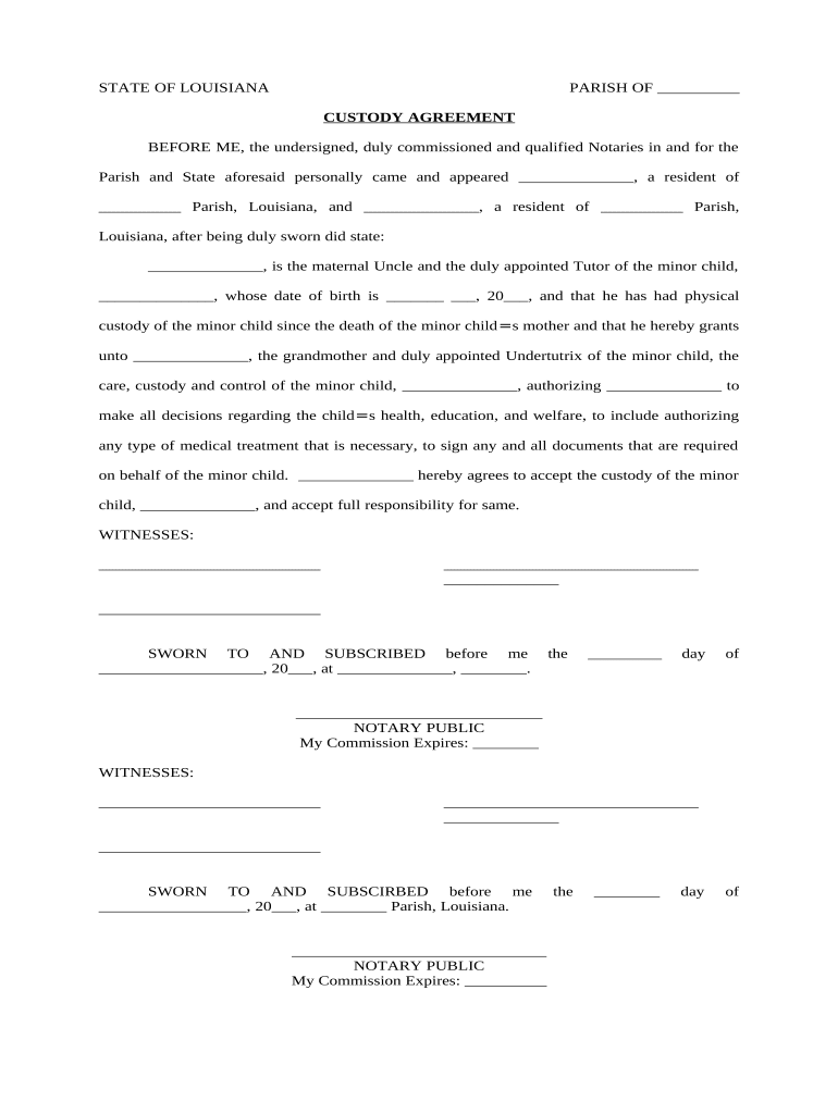 Custody Agreement  Form