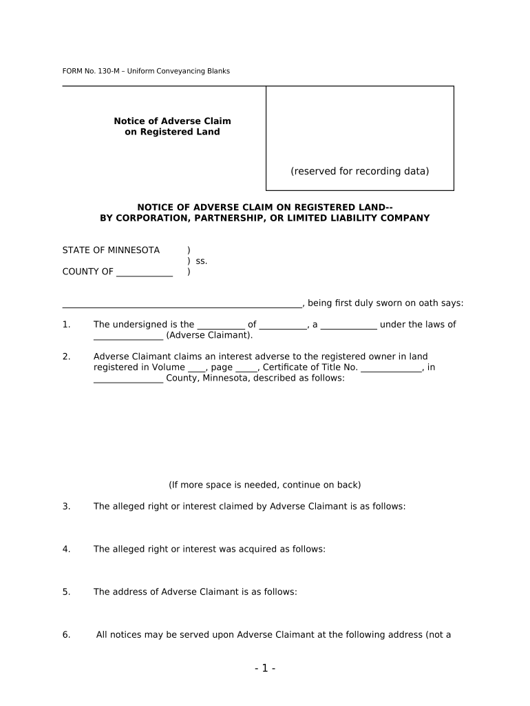 Mn Company Llc  Form