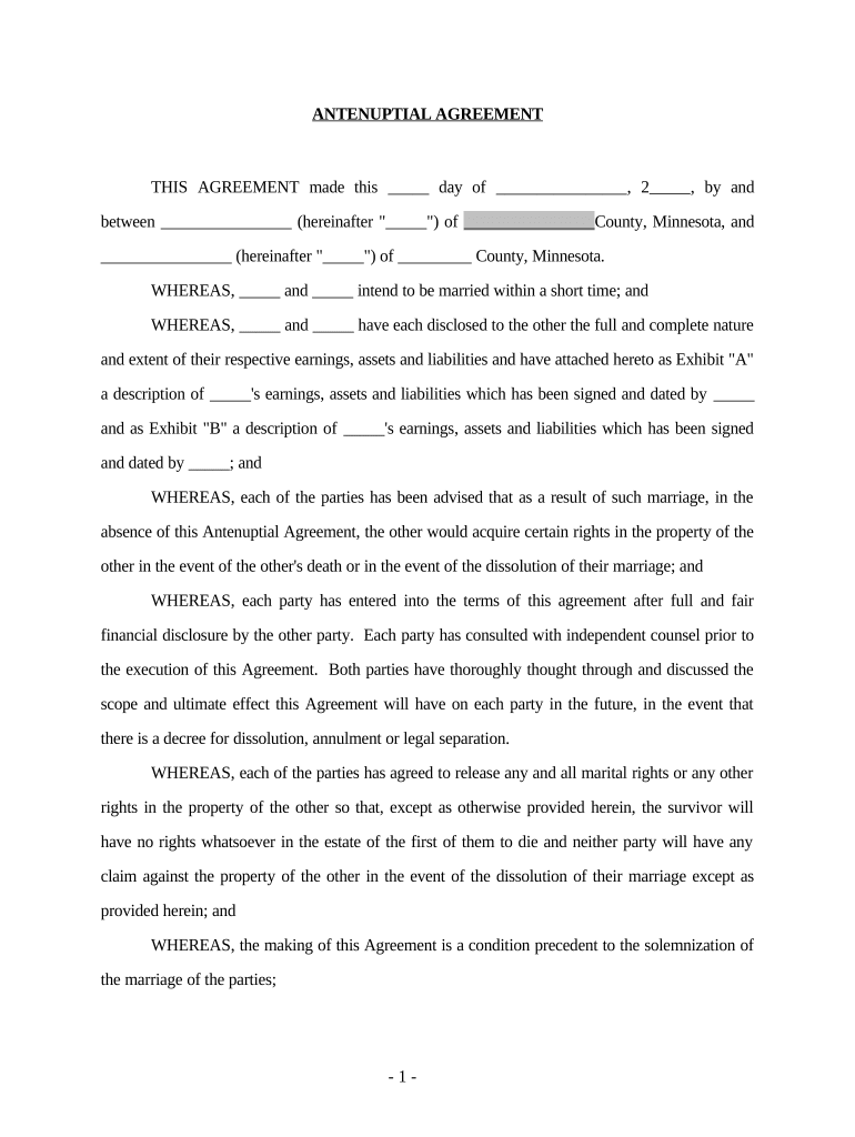 Minnesota Antenuptial Agreement  Form