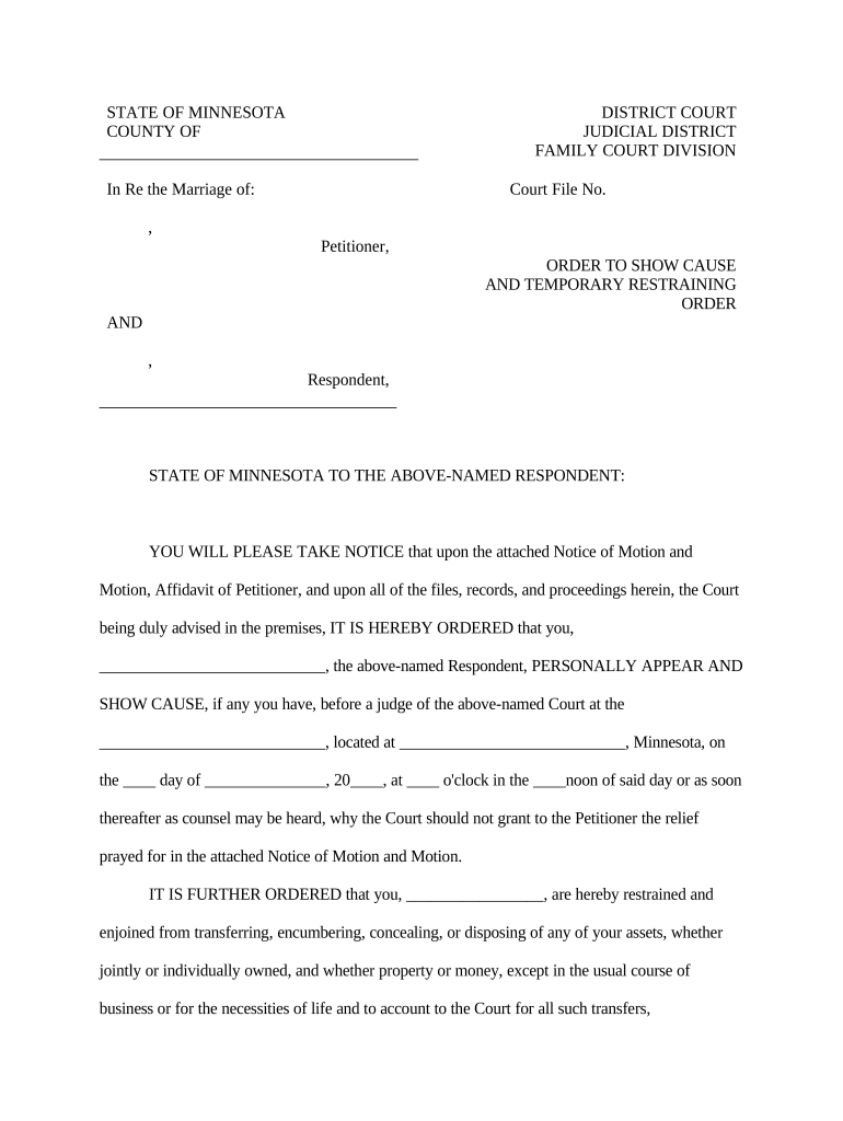 Mn Restraining Order  Form