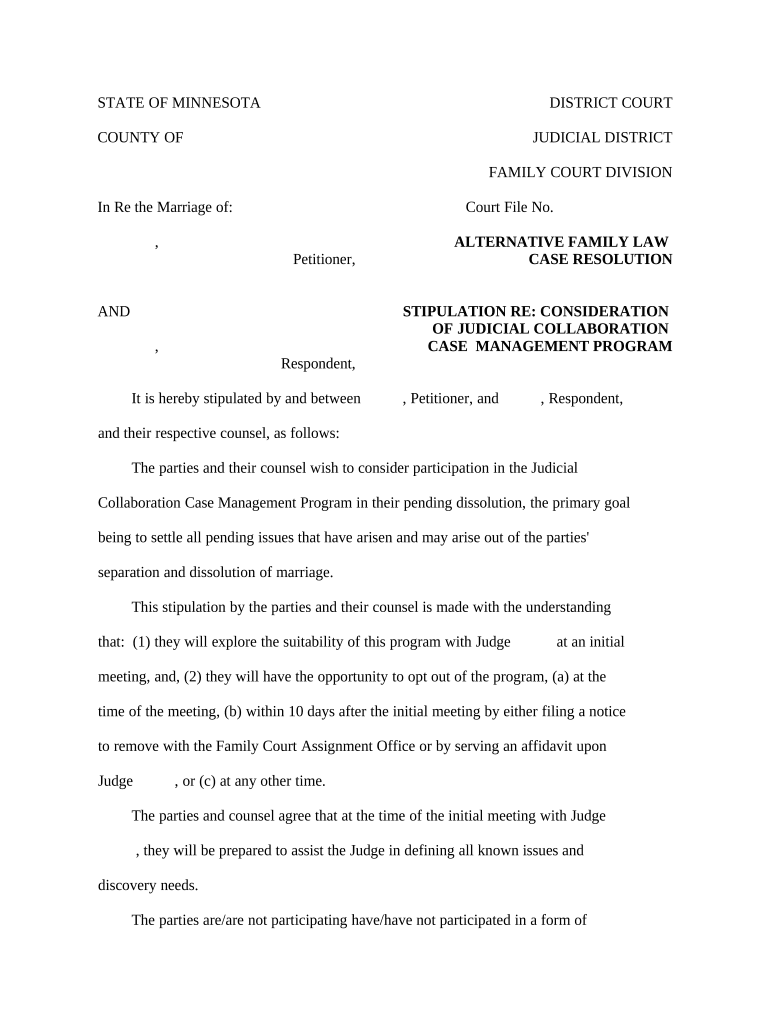 Minnesota Judicial Case  Form
