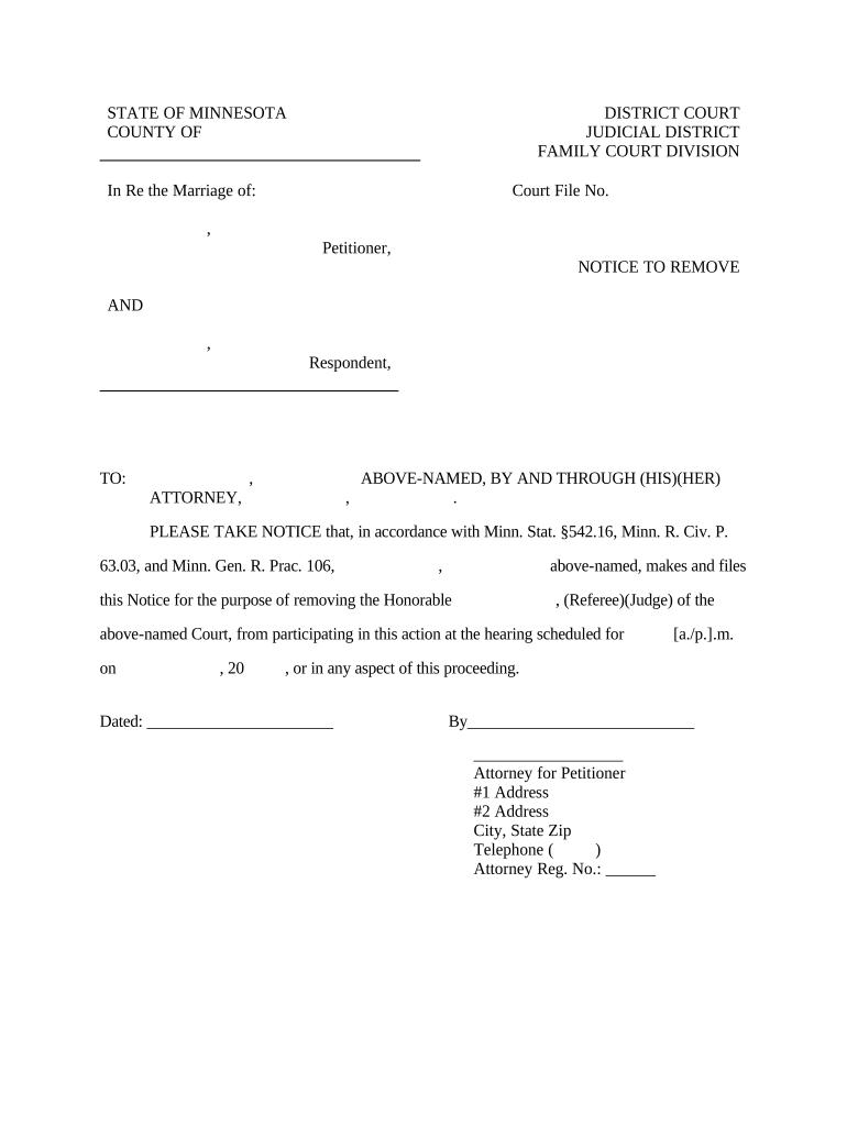 Minnesota Judge  Form