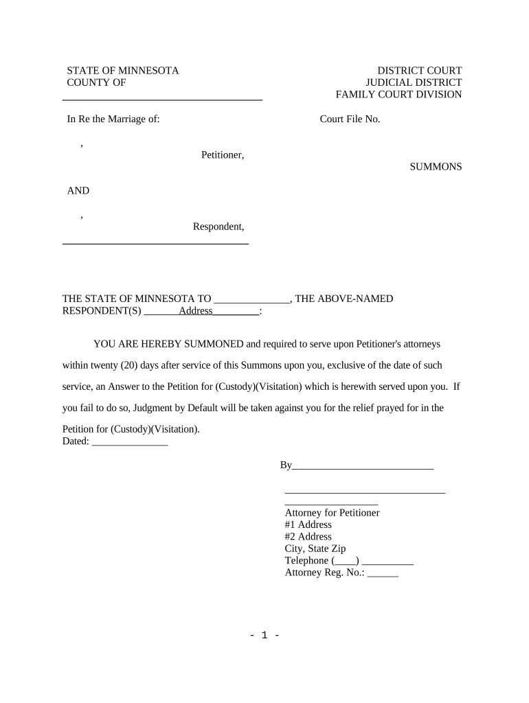 Mn Custody Form