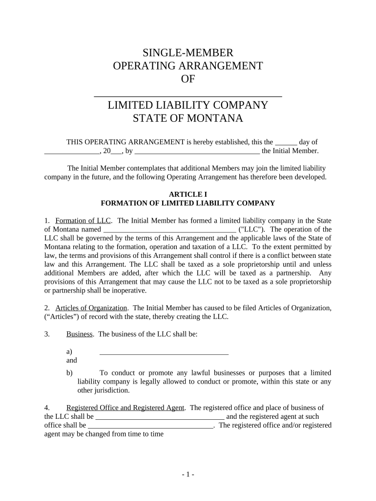 Mt Llc  Form