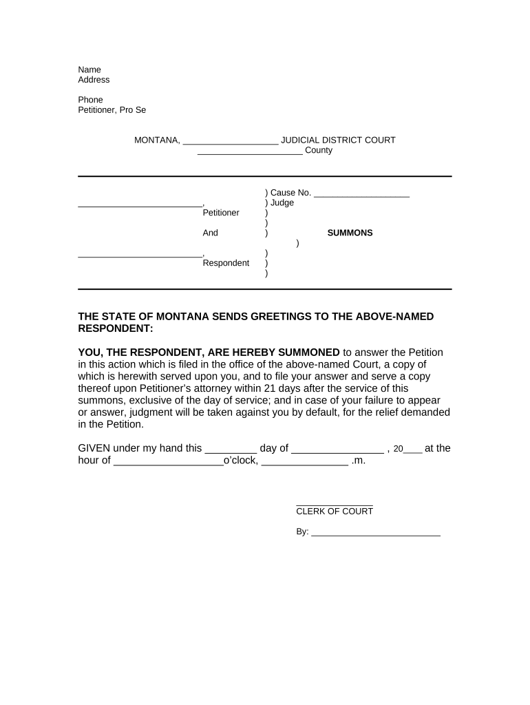 Mt Procedure Court  Form