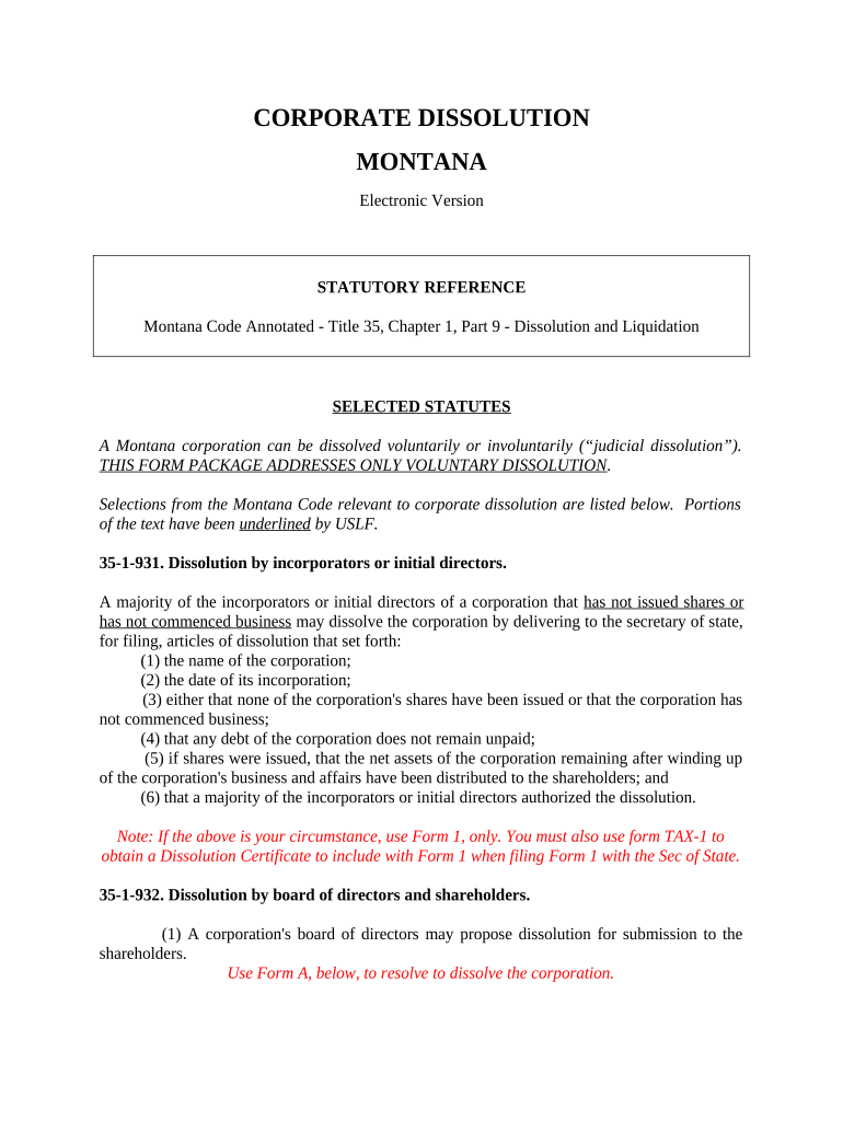 Mt Corporation  Form