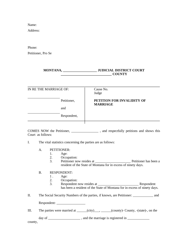 Invalidity Marriage  Form
