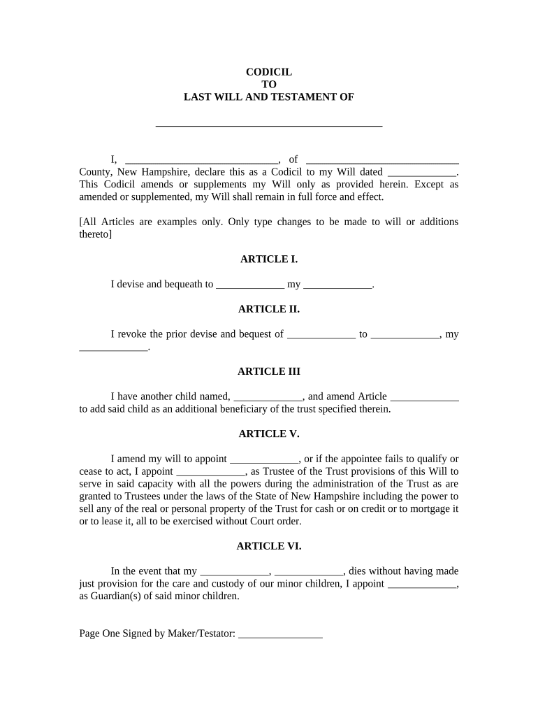 Nh Will Template  Form