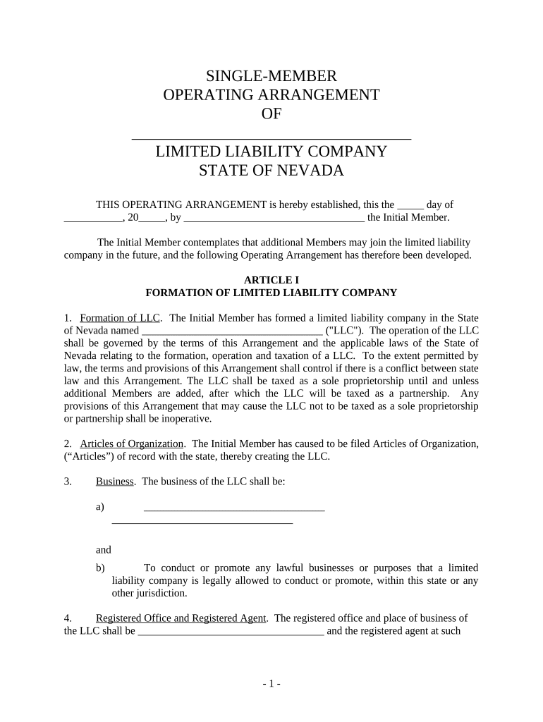 Nv Company  Form