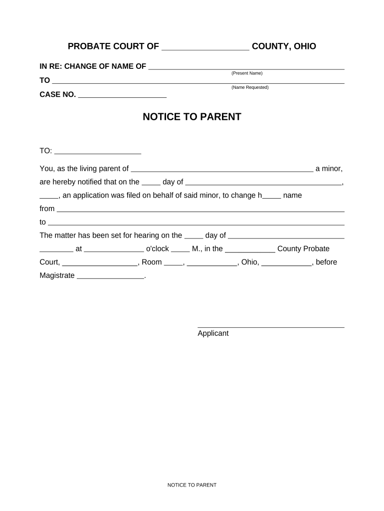 Minor Name Change  Form